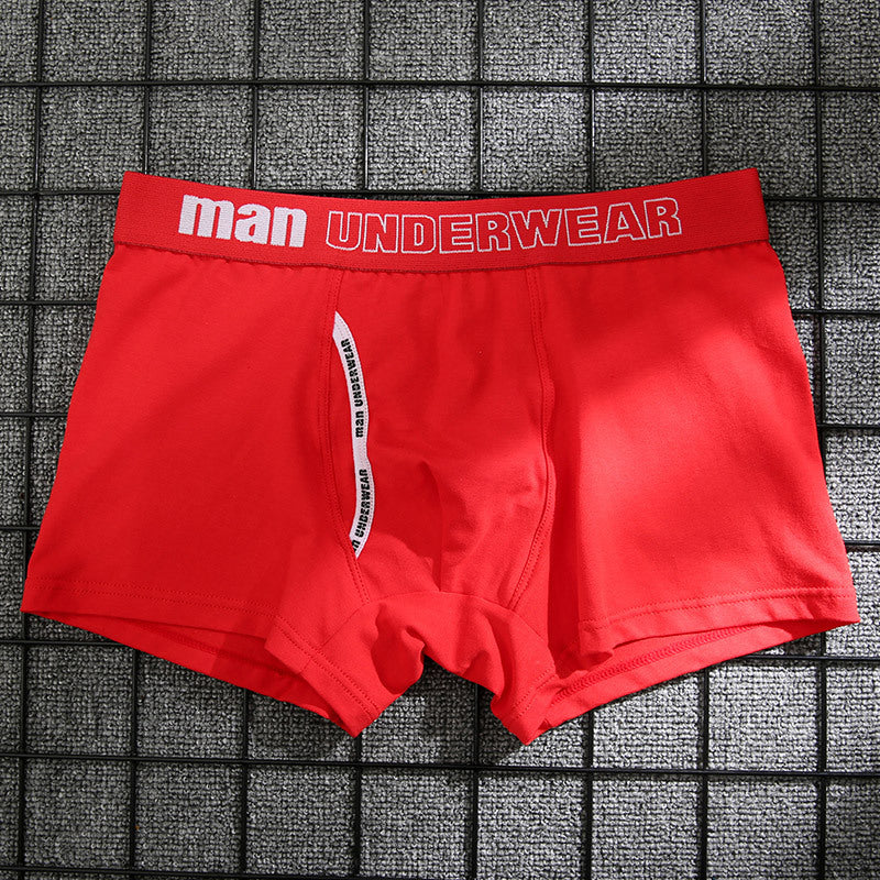 Sous-vêtements pour hommes